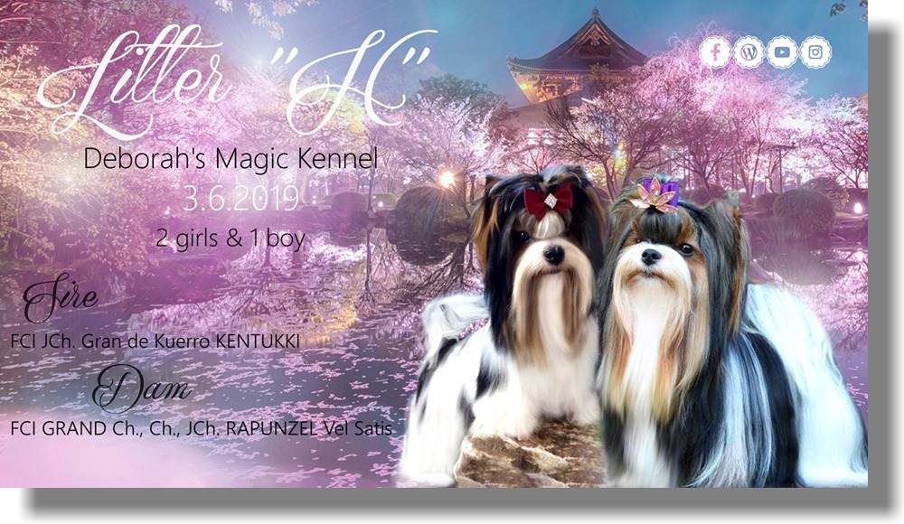 Litter "H" - Deborah´s Magic Kennel ®